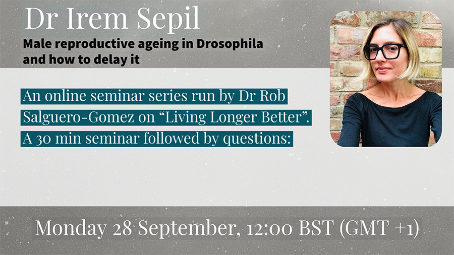 Living Longer Better seminar -  Irem Sepil